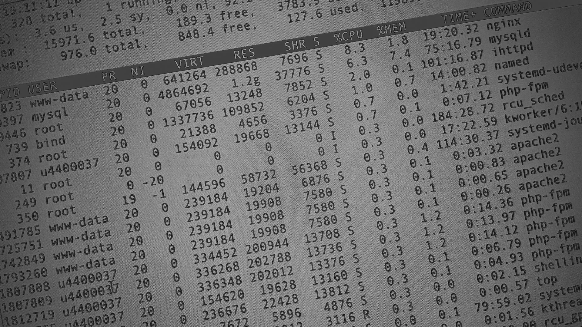 Настройка сервера в Моршанске Настройка сервера в Моршанске