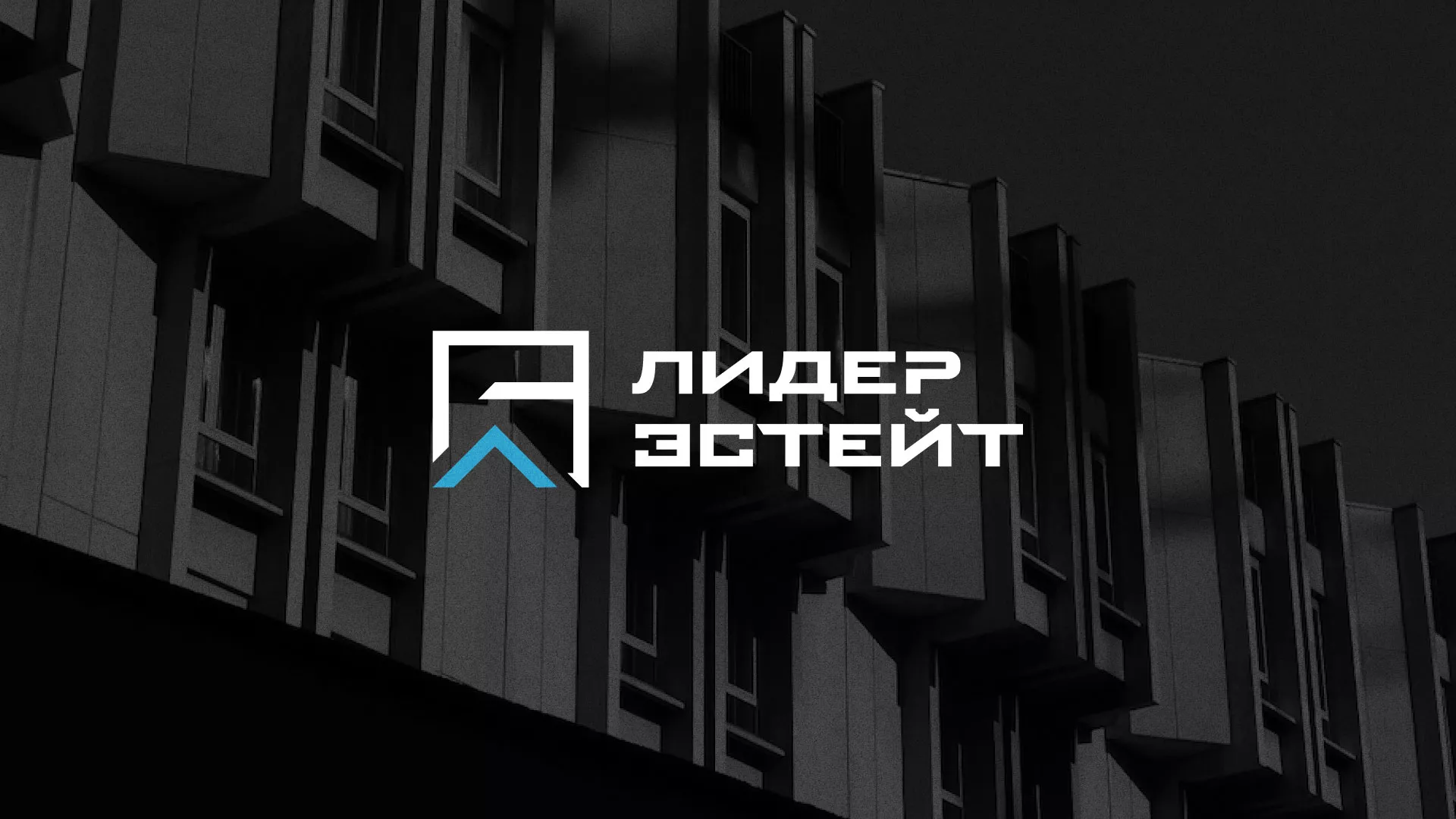 Разработка логотипа агентства недвижимости «Лидер Эстейт» в Моршанске