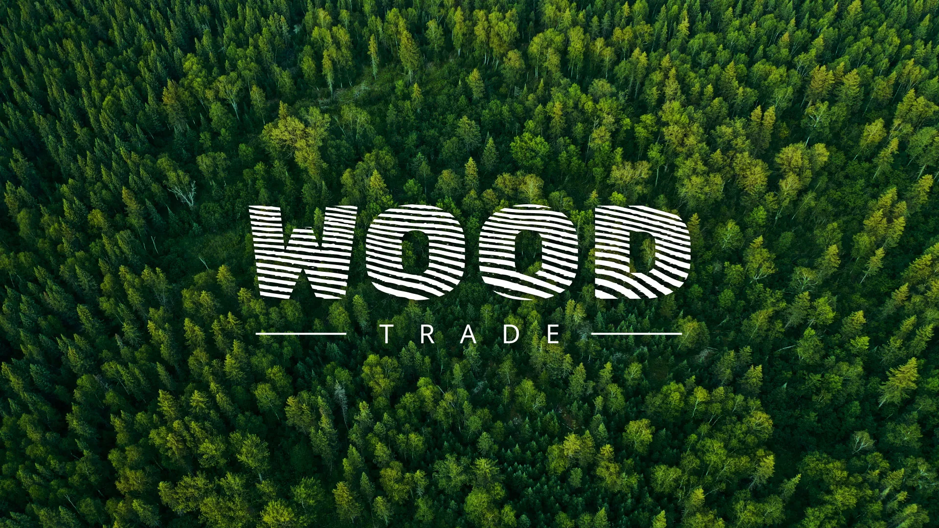Разработка интернет-магазина компании «Wood Trade» в Моршанске